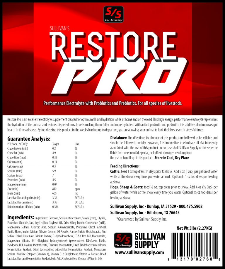 Prevent Restore Professional 2023.15 instaling