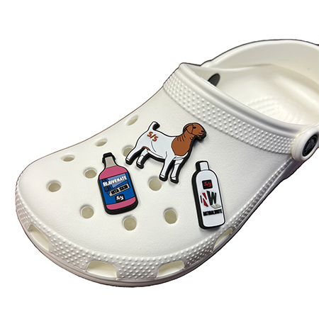 Crocs Shoe Charms — Loblolly Creamery